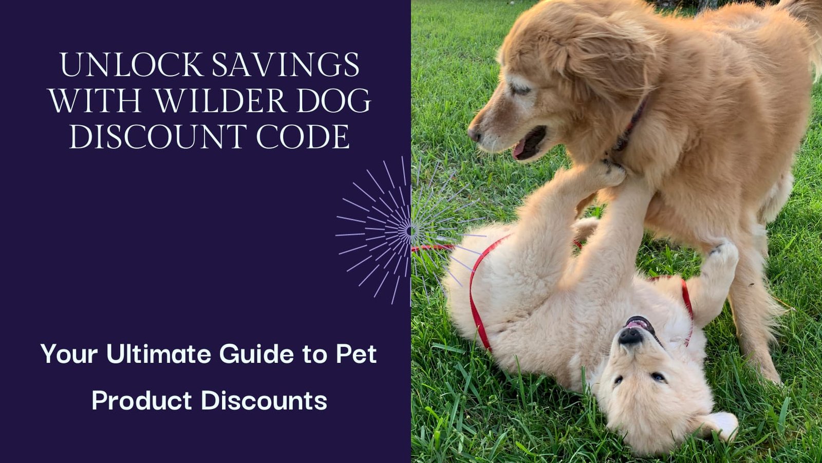 wilder dog discount code