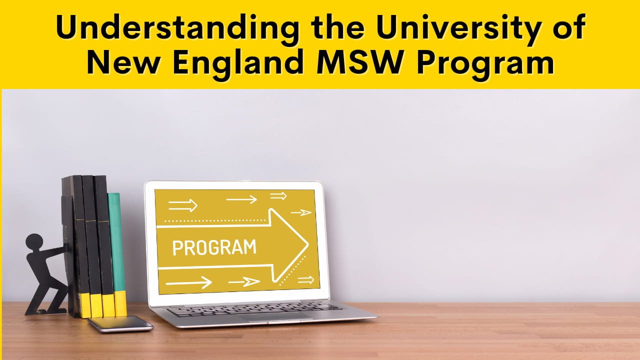 university of new england msw program