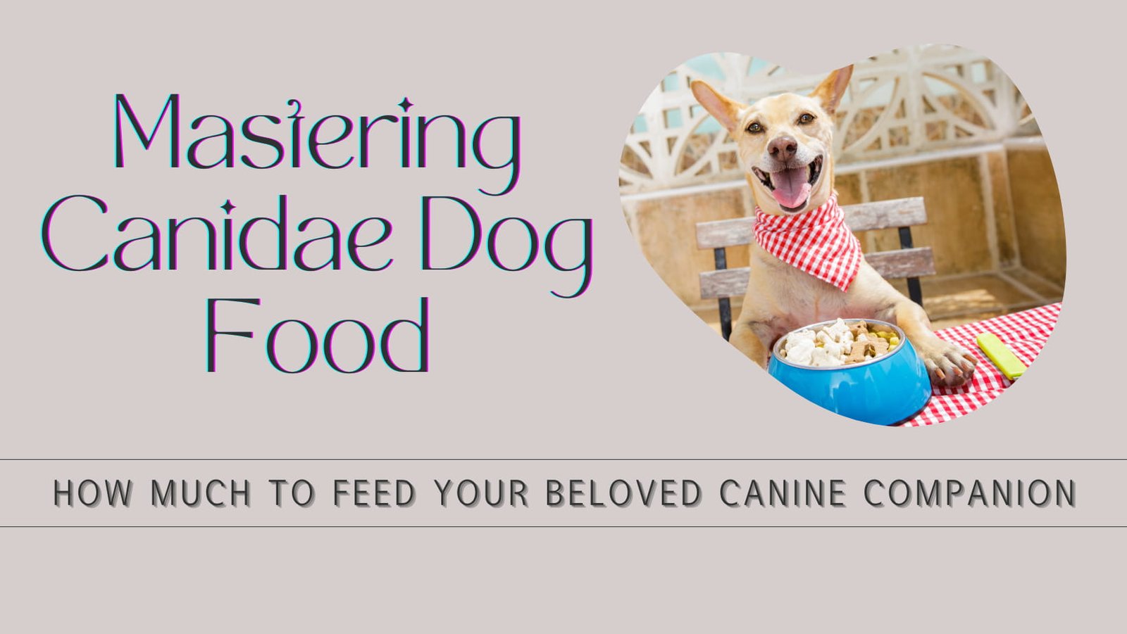 how much canidae to feed a dog