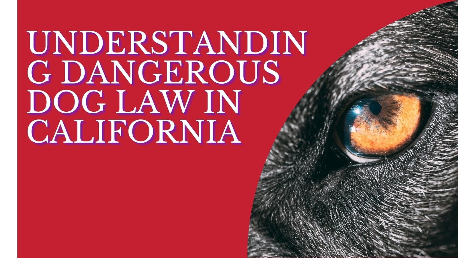 dangerous dog law california