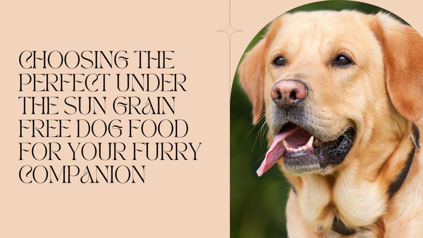 Choosing the Perfect Under the Sun Grain Free Dog Food for Your Furry Companion