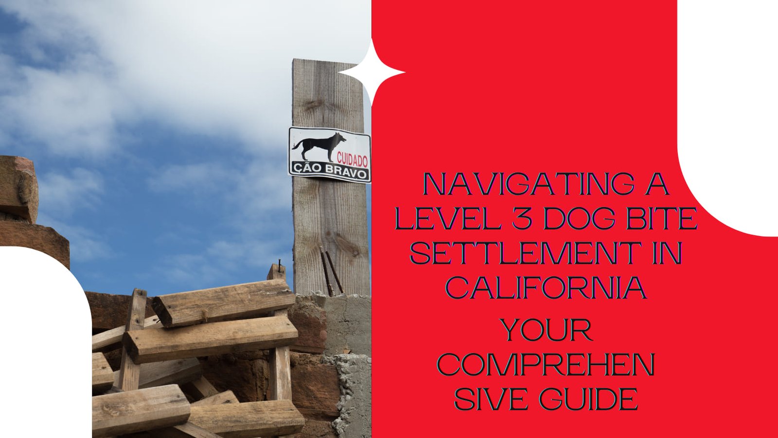 Navigating a Level 3 Dog Bite Settlement in California: Your Comprehensive Guide